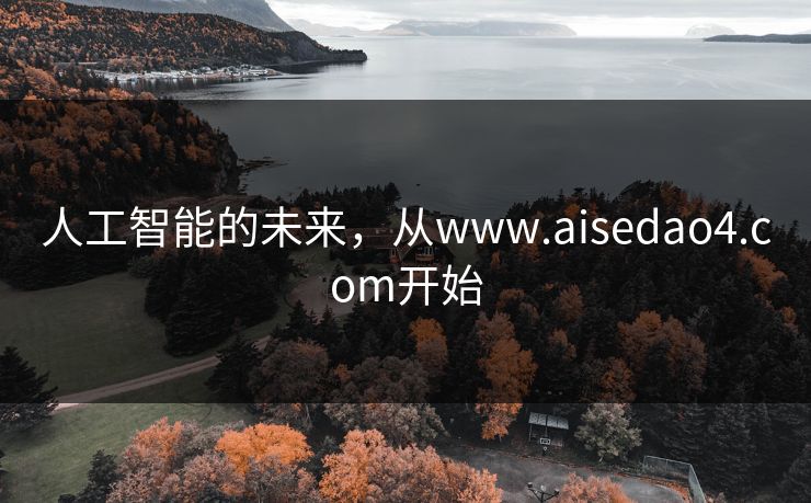 人工智能的未来，从www.aisedao4.com开始